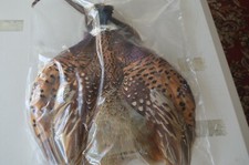 Veniard Pheasant Ringneck