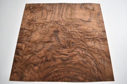Walnut burr burl - burr,