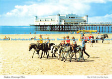 D163203 Weston Super Mare. Donkeys. John Hinde. D. Noble