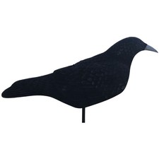 FLocked Crow Shell Decoy