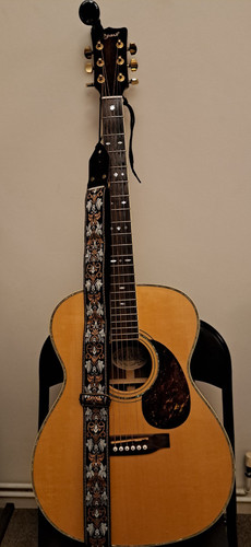 Ozark 3389 acoustic guitar - , in