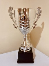 🏆 Silver Sports Trophy