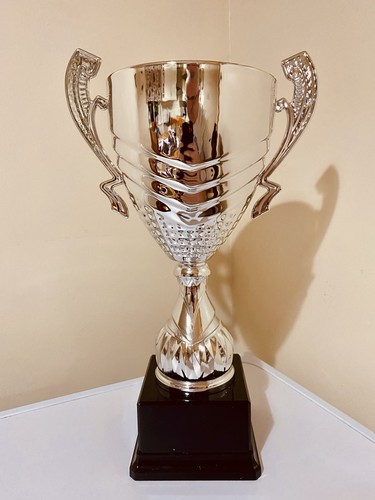 Silver sports trophy - silver,