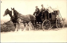 Real Photo Postcard Horse