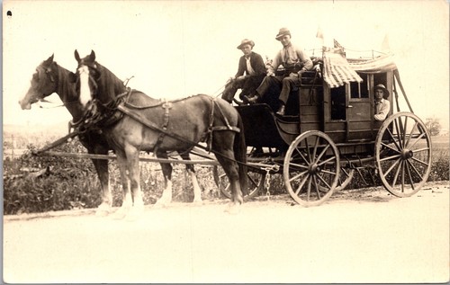 Real photo postcard horse - real,
