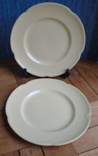2 x Goldendawn 9ins Salad or