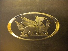 1 x Chrome Effect Oval Welsh