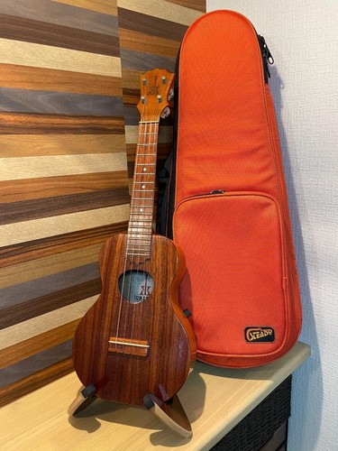 Koaloha kcm concert size - kcm-00,