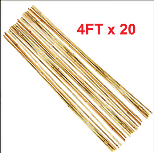 20x 4ft thick bamboo - 20x,