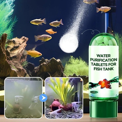 Aquarium water purification - water,