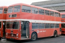 Bus Photo - Alder Valley 905