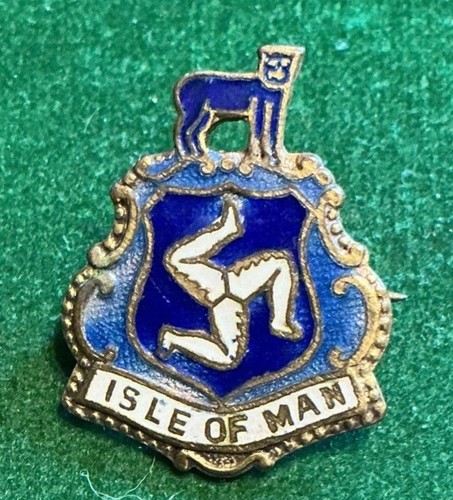 Vintage isle man pin - isle,
