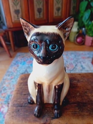 Siamese cat money - siamese, box