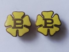 Primrose League Men's Lapel