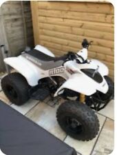 quadzilla r100 quad