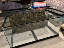 Terrarium ..￼40 gallon full