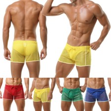 Mens Sexy Sheer See Through