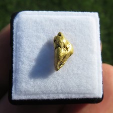 Natural Gold Nugget Minerals