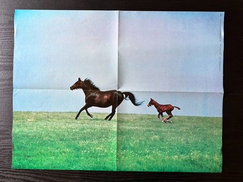 Vintage 1977 xerox education - xerox,