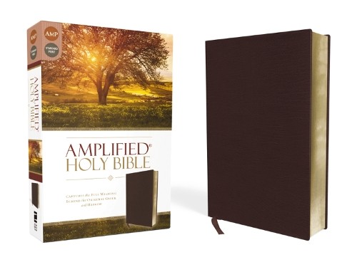 Amplified holy bible bonded - amplified, bible,