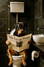 Funny bathroom Rottweiler dog