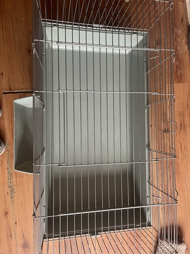 Guinea pig hutch - pig,