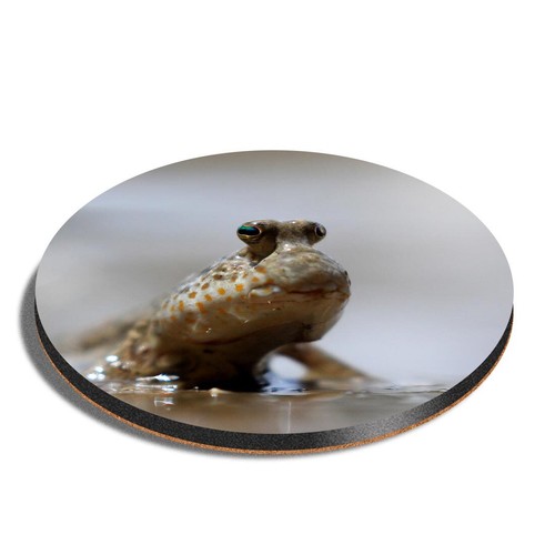 Round mdf coaster cute - coaster,