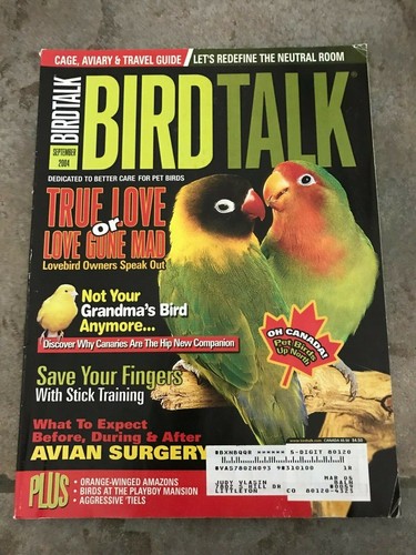 Brand new bird - new!,