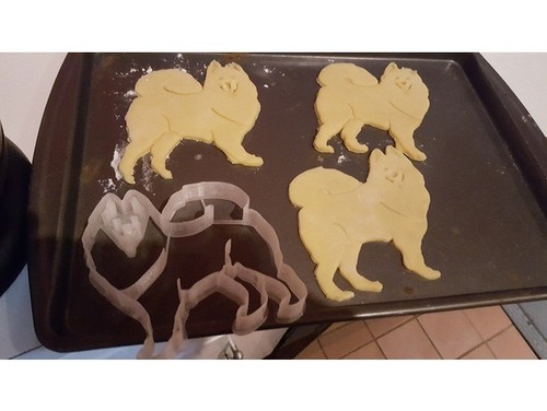 Samoyed dog cookie pastry - samoyed,