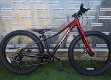 Trek Roscoe 24" wheels Junior