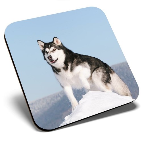 Square single coaster - square,