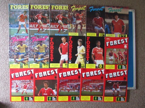 Nottingham forest home - forest,