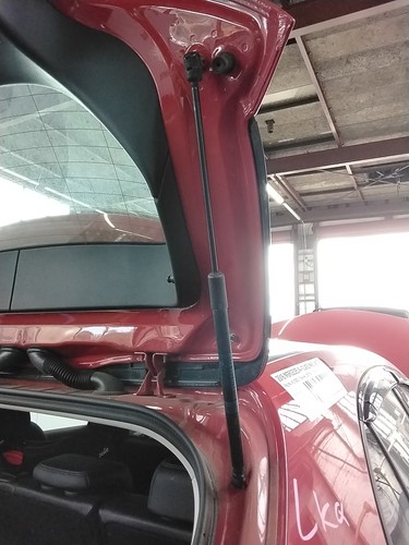 Boot tailgate support strut - boot,