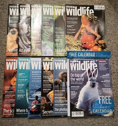 Bbc wildlife magazines 2002 - bbc,