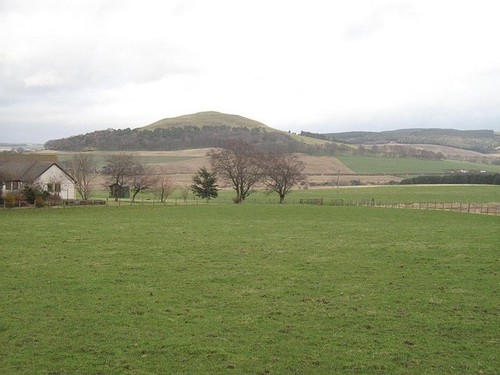 Photo 6x4 pasture thankerton - 6x4,