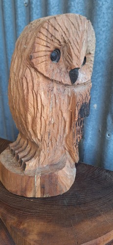 Chainsaw carving owl - chainsaw, home