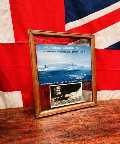 Superb framed donald campbell - superb,