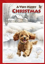 Poodle (Apricot) Dog Christmas