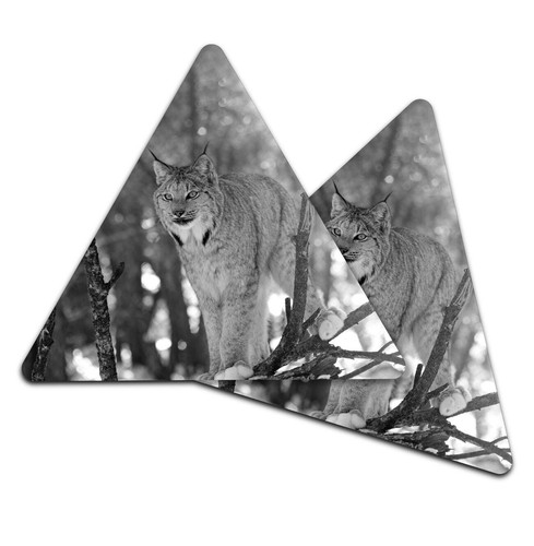 Triangle coaster bw - coaster,