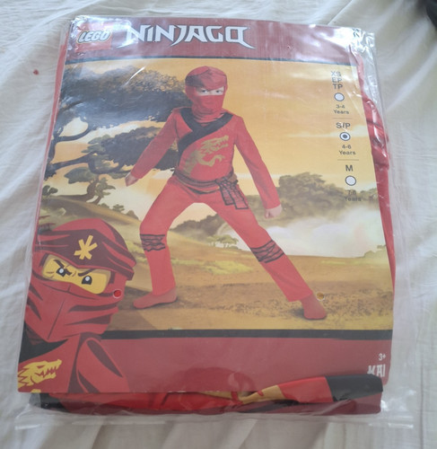 Lego ninjago fancy dress - ninjago,