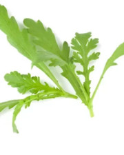 Herb - Chrysanthemum greens