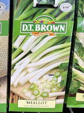SHALLOT SEEDS 'LOMG WHITE