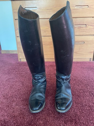 Petrie dressage pull riding - petrie,