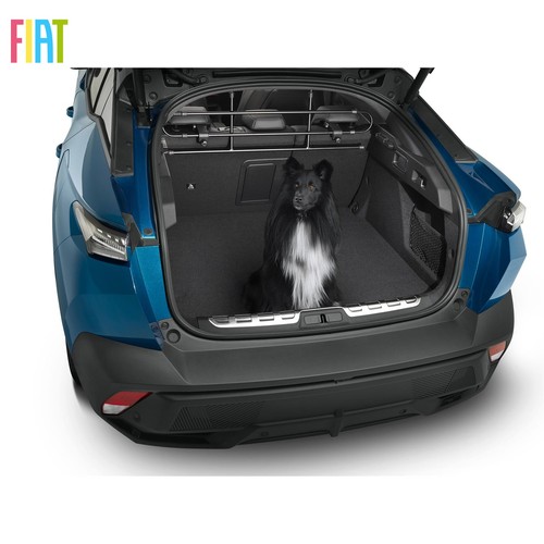 Genuine fiat dog - guard, pet