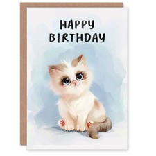 Adorable Pet Kitten Ragdoll