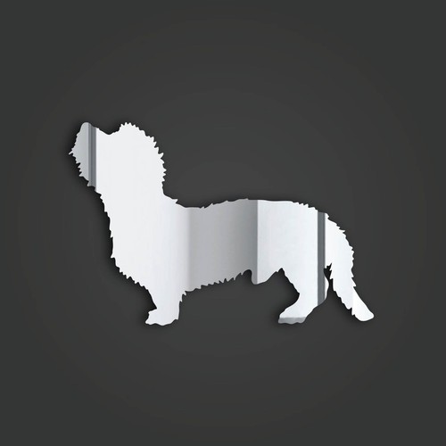 Dandie dinmont terrier style - dinmont,