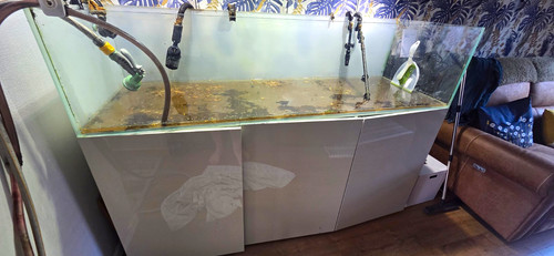 Aquarium fish tank - tank, tropical