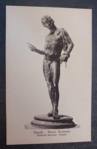 Vtg postcard narciso narcissus - vtg,