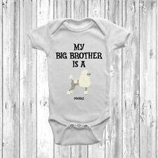 My Big Brother Is A Poodle