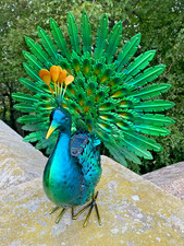 Vibrant light peacock - vibrant, light-up